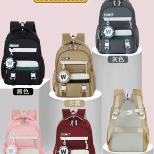 School Bag 2 Chamber